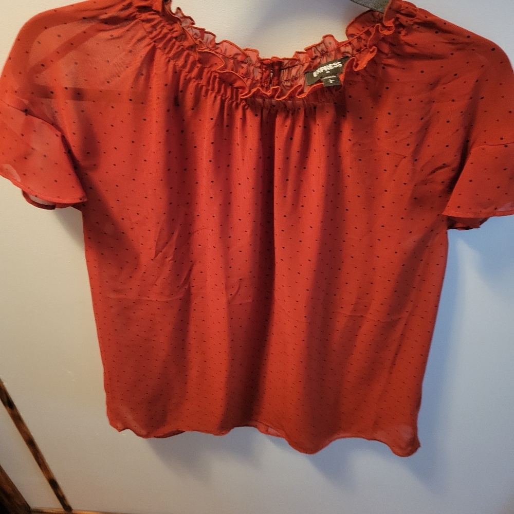 Sheer burnt orange Express blouse